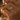 The J.S. Ring