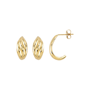 Textured Shell Stud Earrings | 10k Yellow Gold