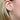 yellow gold diamond hoops
